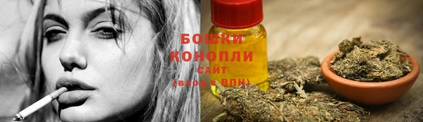 амф Сафоново