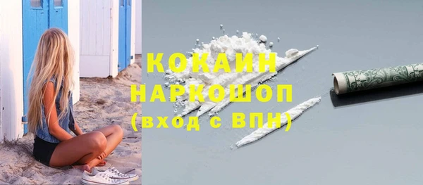 молекула духа Горняк