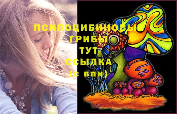 амфетамин Горнозаводск
